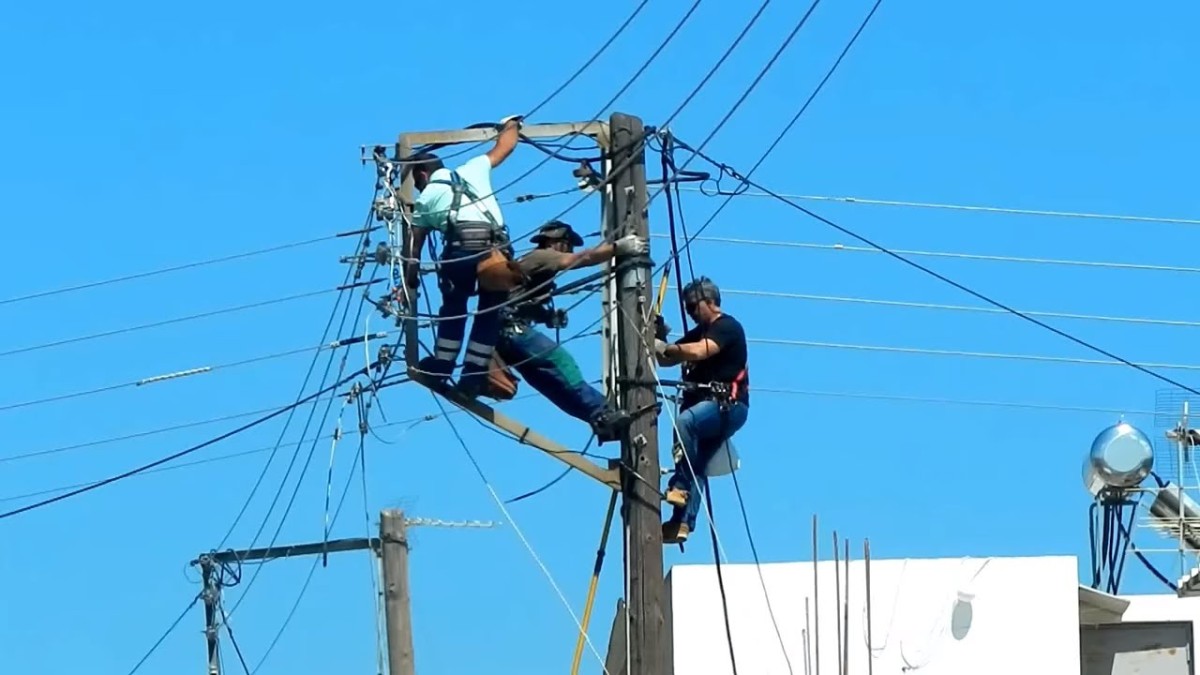 ORMAN YANGINLARININ NEDENİ TARTIŞILIYOR | ΔΕΔΔΗΕ - ELEKTRİK ŞEBEKESİ İDDİALARI SORUŞTURMALARIN ODAĞINDA